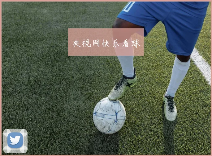 央视网快乐看球