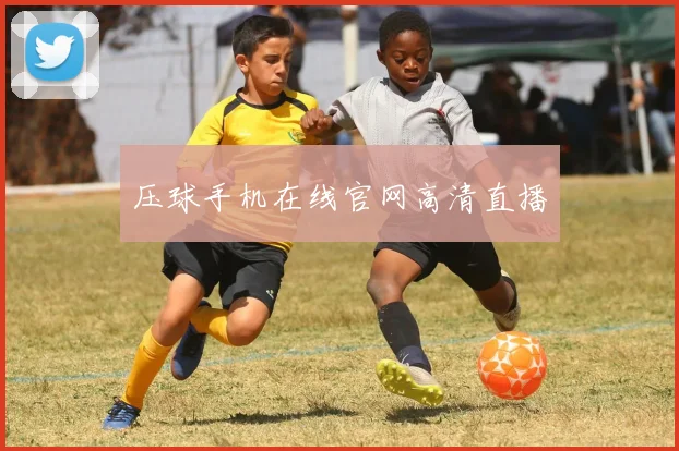 压球手机在线官网高清直播