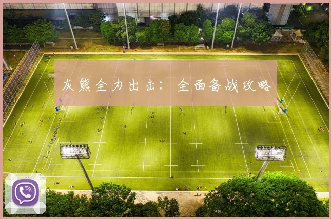 灰熊全力出击：全面备战攻略