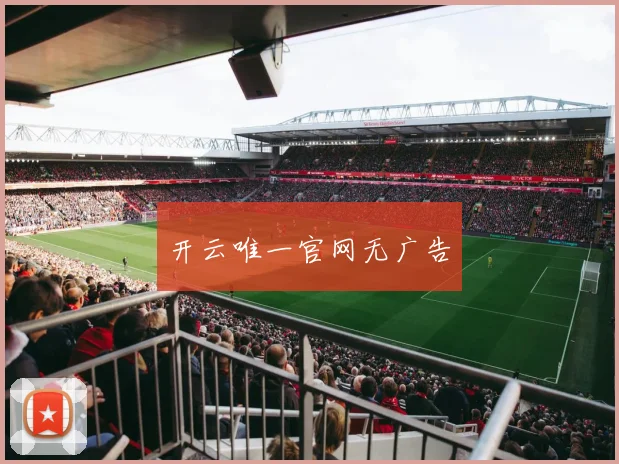 开云唯一官网无广告