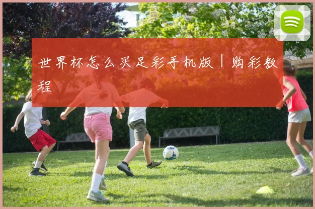 世界杯怎么买足彩手机版｜购彩教程