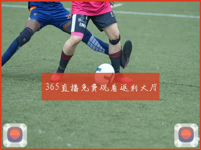 365直播免费观看返利大厅