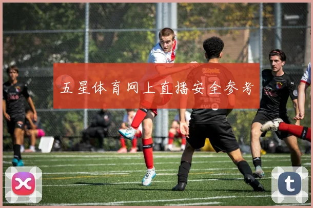 五星体育网上直播安全参考
