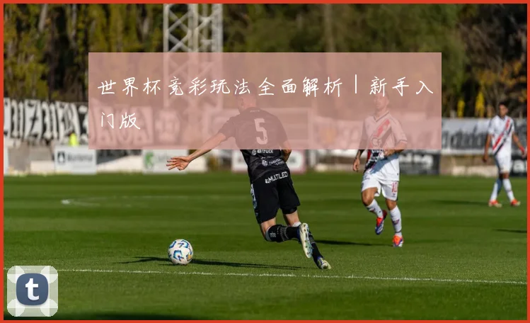 世界杯竞彩玩法全面解析｜新手入门版