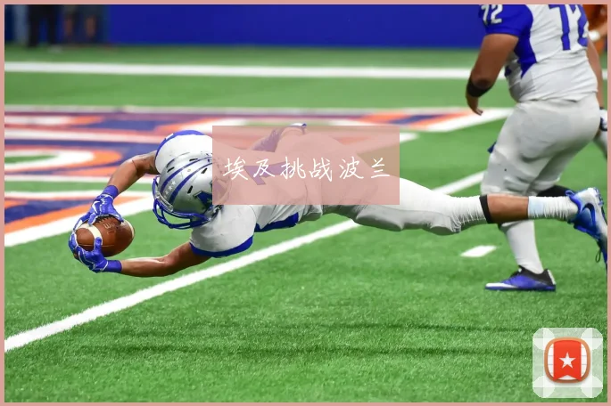 埃及挑战波兰