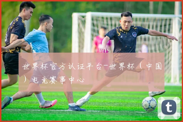 世界杯官方认证平台-世界杯（中国）电竞赛事中心