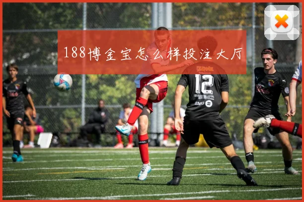 188博金宝怎么样投注大厅