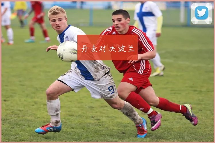 丹麦对决波兰