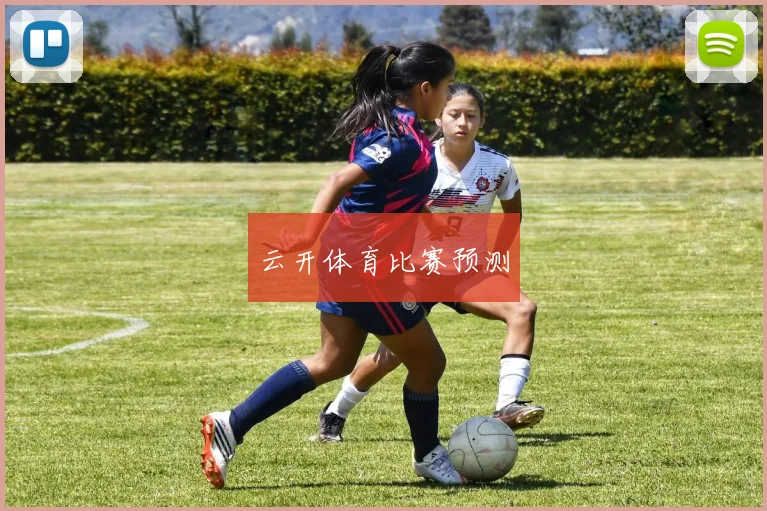 云开体育比赛预测
