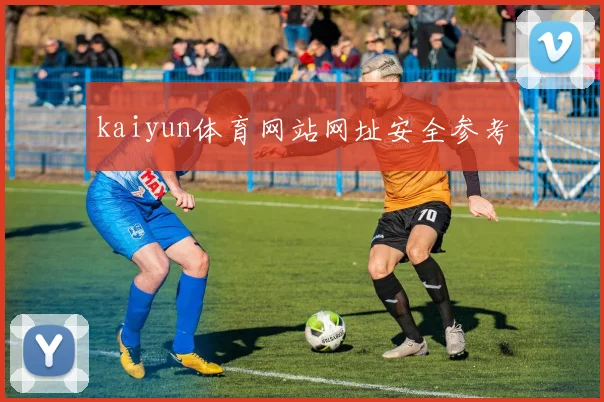 kaiyun体育网站网址安全参考