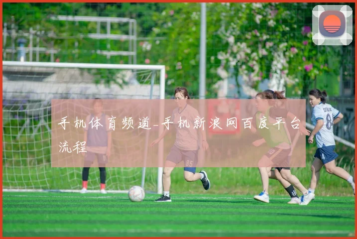 手机体育频道_手机新浪网百度平台流程
