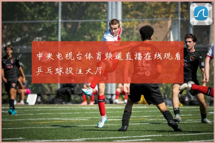 中央电视台体育频道直播在线观看乒乓球投注大厅