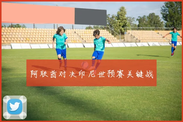 阿联酋对决印尼世预赛关键战