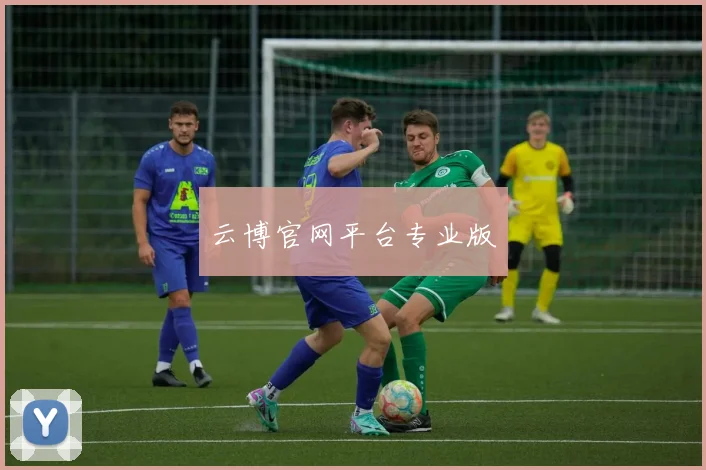 云博官网平台专业版