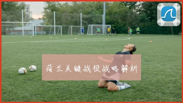 荷兰关键战役战略解析