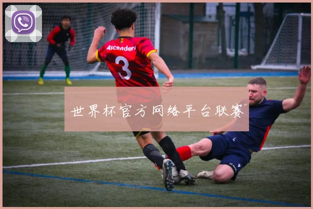 世界杯官方网络平台联赛
