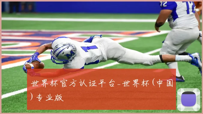 世界杯官方认证平台_世界杯(中国)专业版