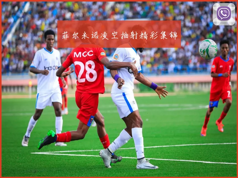 菲尔米诺凌空抽射精彩集锦