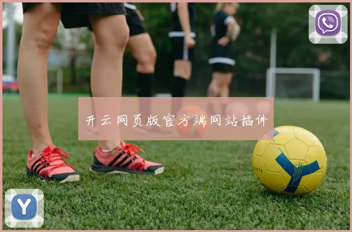 开云网页版官方端网站插件