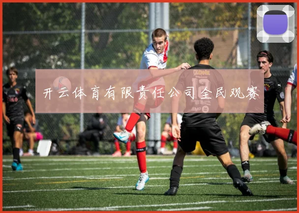 开云体育有限责任公司全民观赛