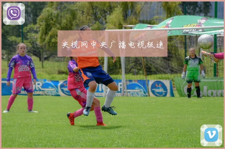 央视网中央广播电视极速