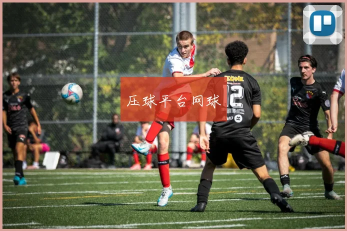 压球平台网球