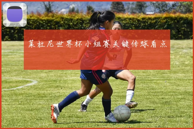 莱杜尼世界杯小组赛关键传球看点
