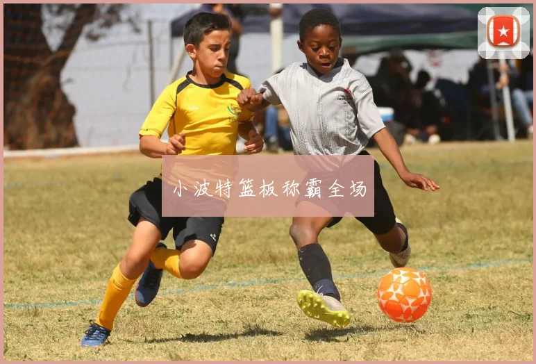 小波特篮板称霸全场