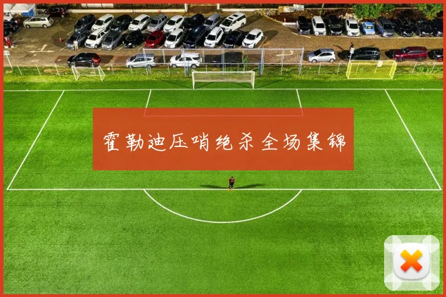 霍勒迪压哨绝杀全场集锦