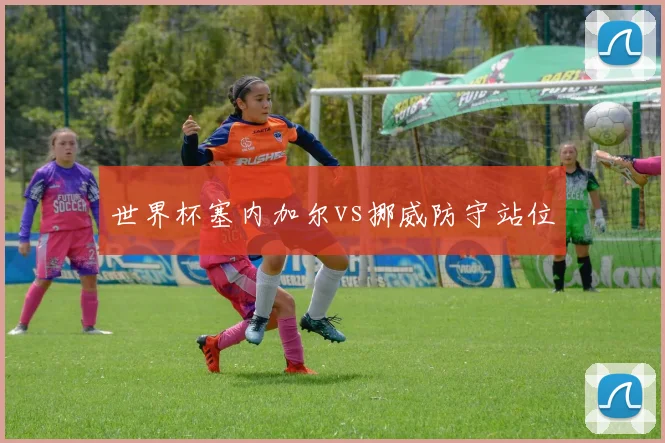 世界杯塞内加尔vs挪威防守站位