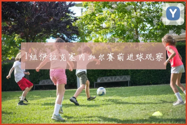 I组伊拉克塞内加尔赛前进球观察