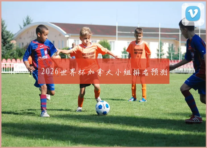 2026世界杯加拿大小组排名预测