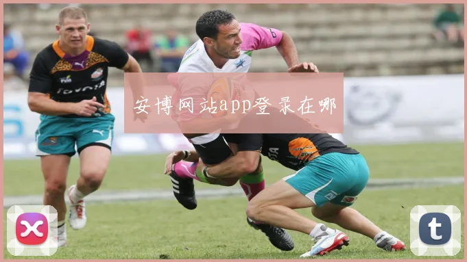 安博网站app登录在哪